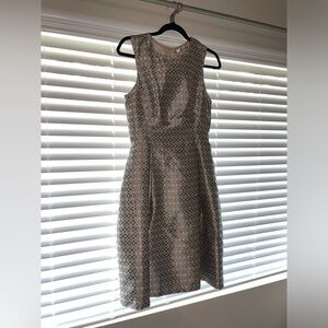 Max Studio Dress
